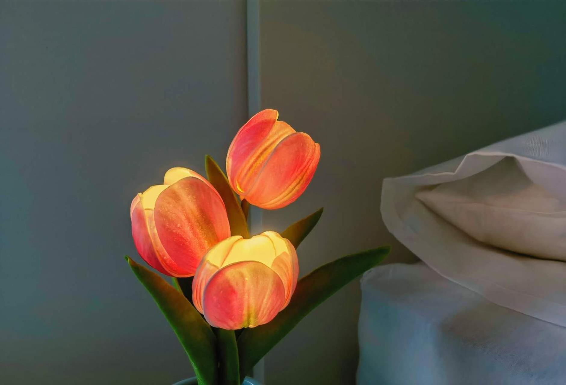 Accommodatie bij particulieren Waldzimmer In Der Stadt Naehe Messe